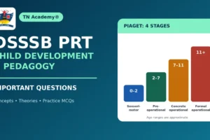 dsssb-prt-child-development-pedagogy-questions DSSSB PRT Child Development and Pedagogy: Important Questions
